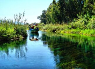 Karageorge Builds a New Servia