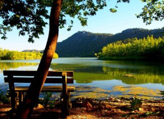 A Shared Story Between Egypt Greece and Libya